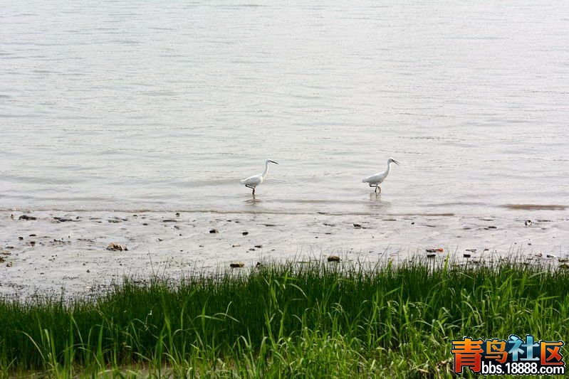 DSC_4763_缩小大小_副本.jpg