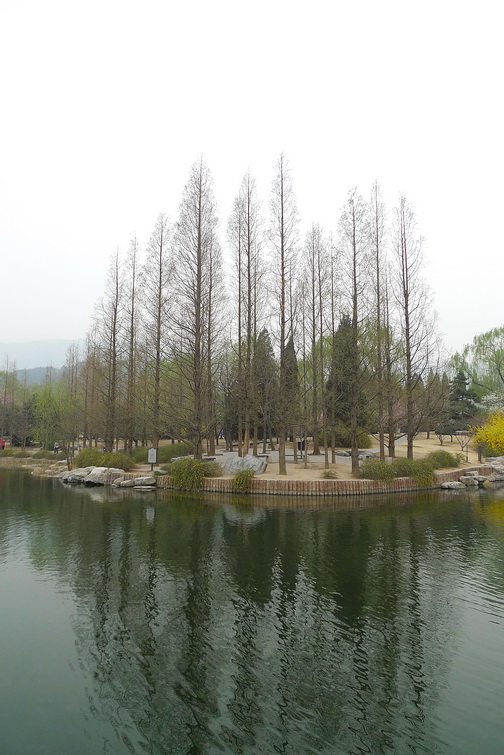 P1040283_调整大小.jpg