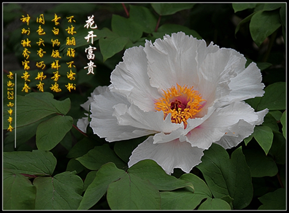 IMG_1865_副本老海.jpg