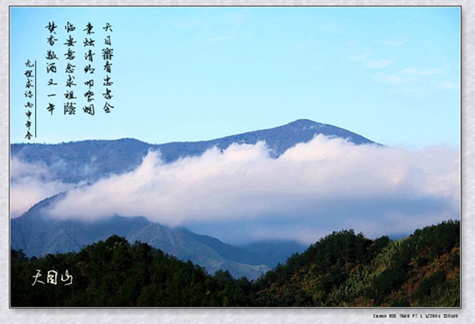 天目山.jpg