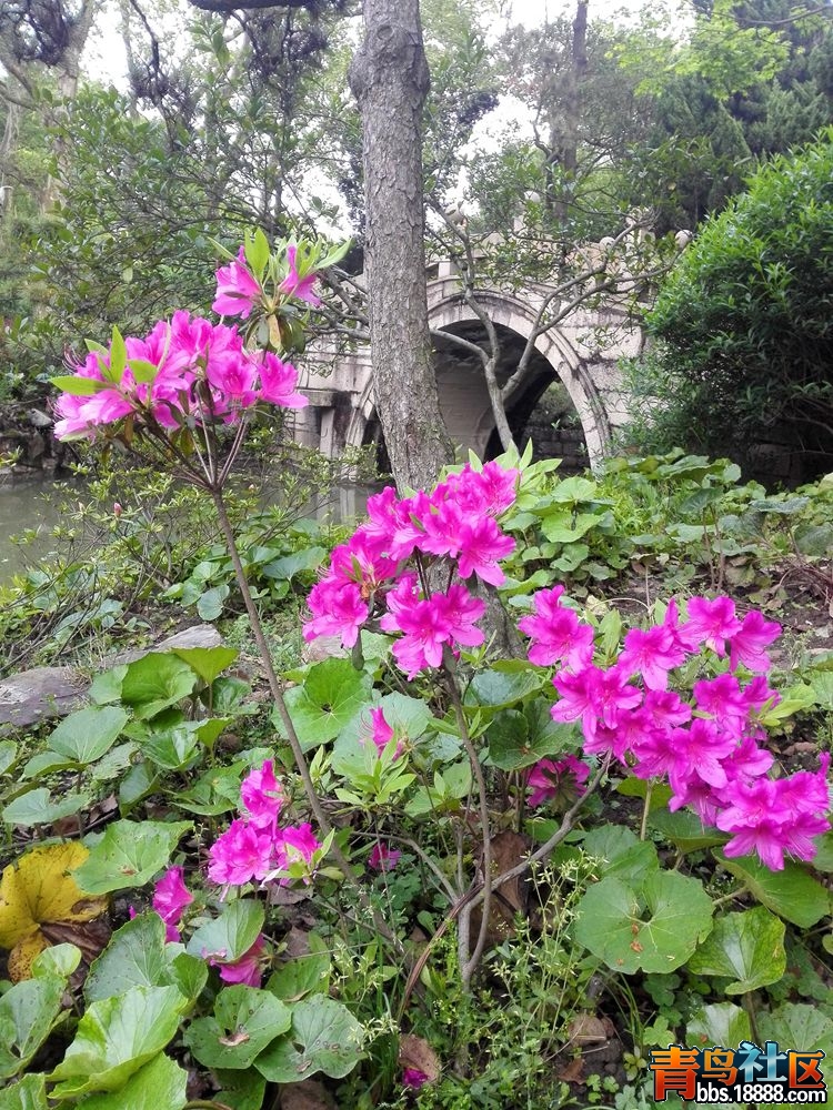 IMG_20160417_070255_副本.jpg