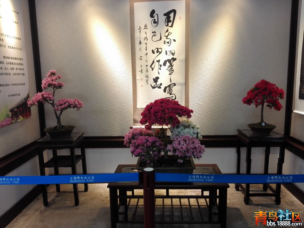 IMG_20160417_082223_副本.jpg