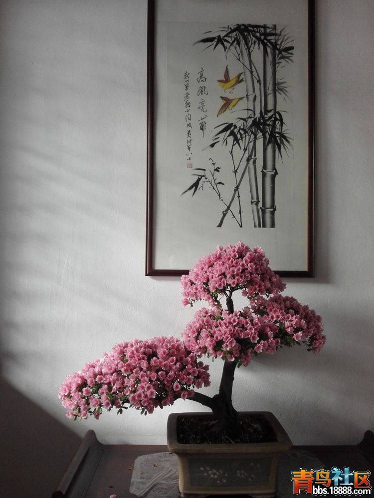IMG_20160417_082719_副本.jpg
