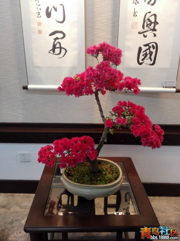 IMG_20160417_081659_副本.jpg