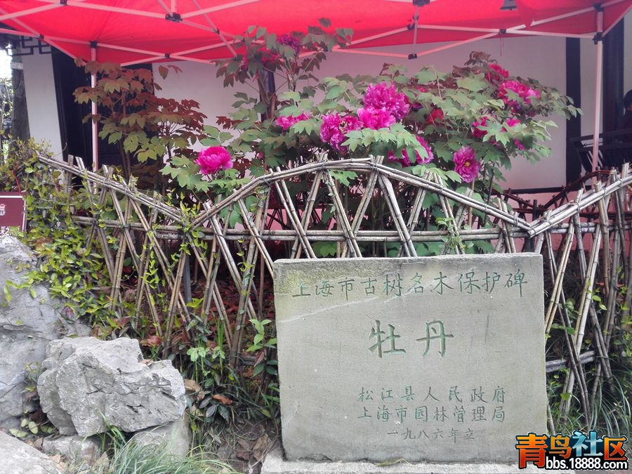IMG_20160410_073315_副本.jpg