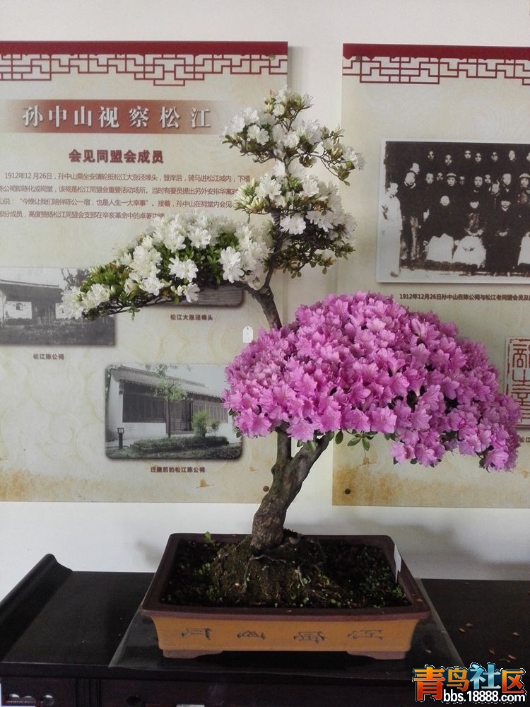 IMG_20160417_082904_副本.jpg