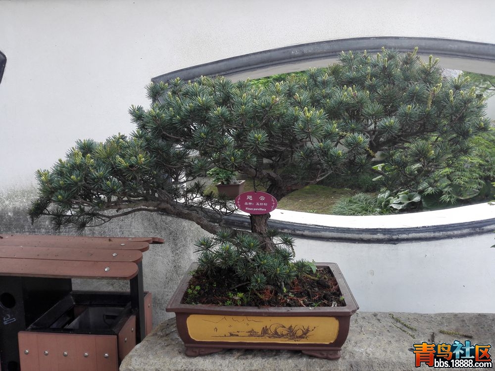 IMG_20160417_080641_副本.jpg