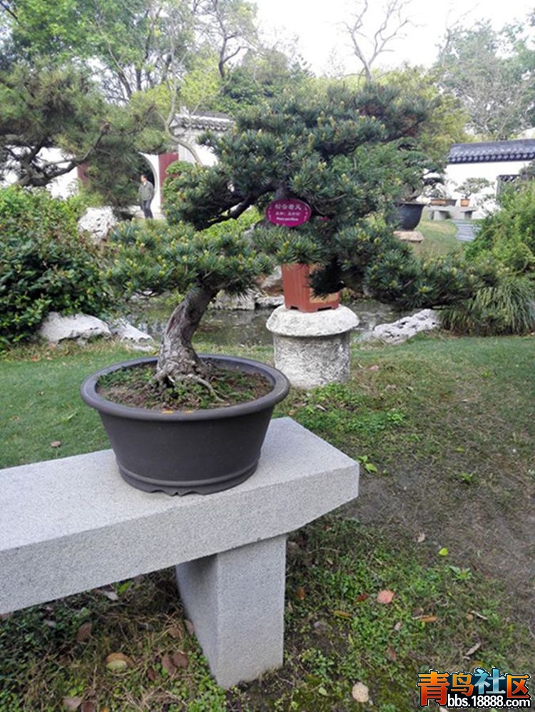 IMG_20160417_075731_副本.jpg