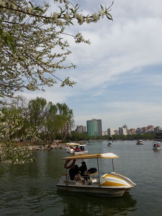 20160403_154039_副本.jpg