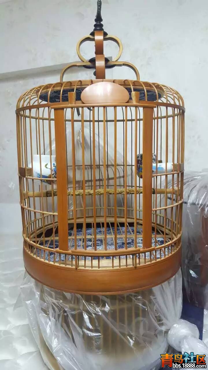 mmexport1459997651581.jpg