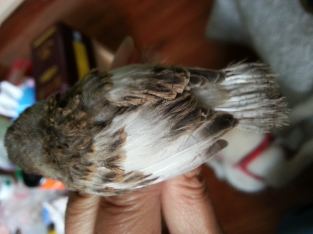 20160528_172907.jpg