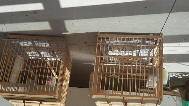 20160526_144040.jpg
