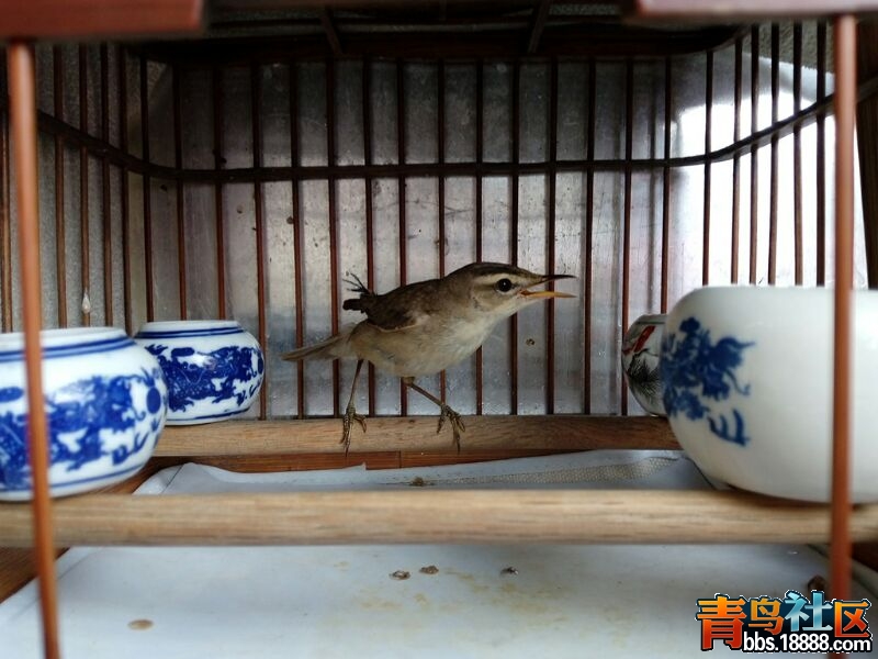 UC_Photo_007.jpg