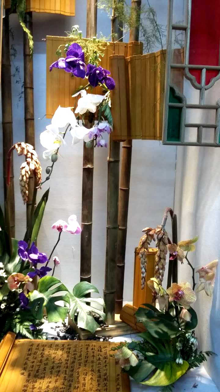 植22.JPG