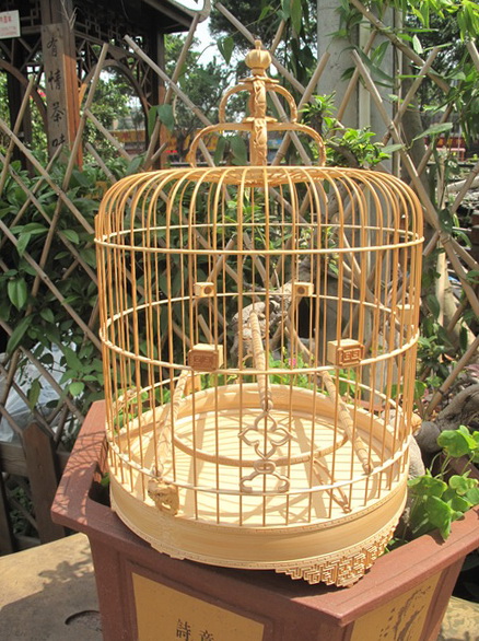IMG_4226_调整大小.JPG