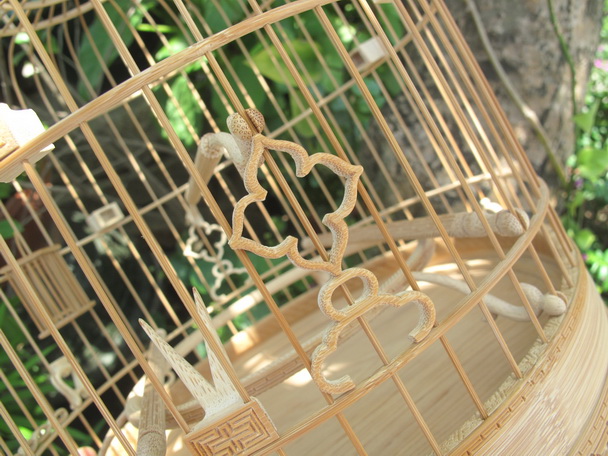 IMG_4320_调整大小.JPG