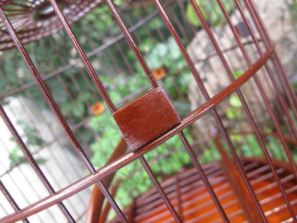 IMG_4296_调整大小.JPG