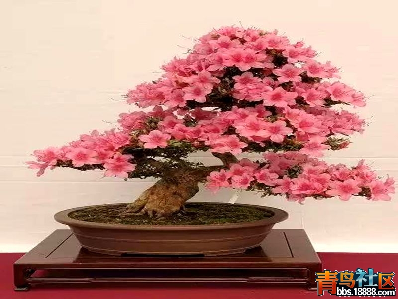 34副本.jpg
