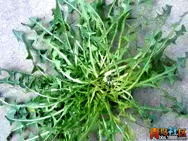 4_th_副本.jpg