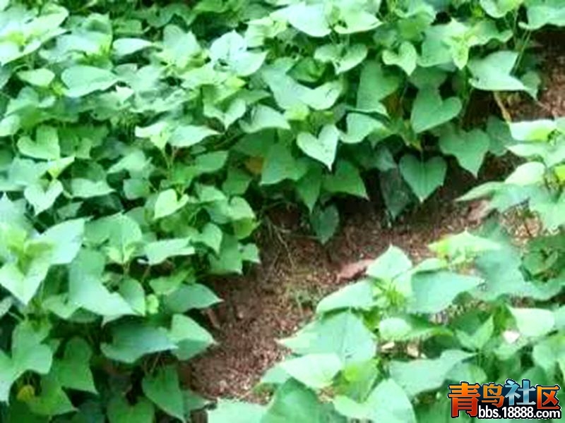 17_副本.jpg