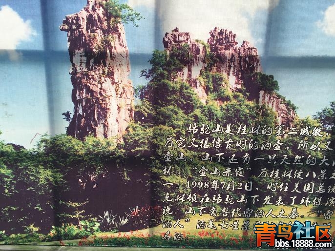 七22.JPG