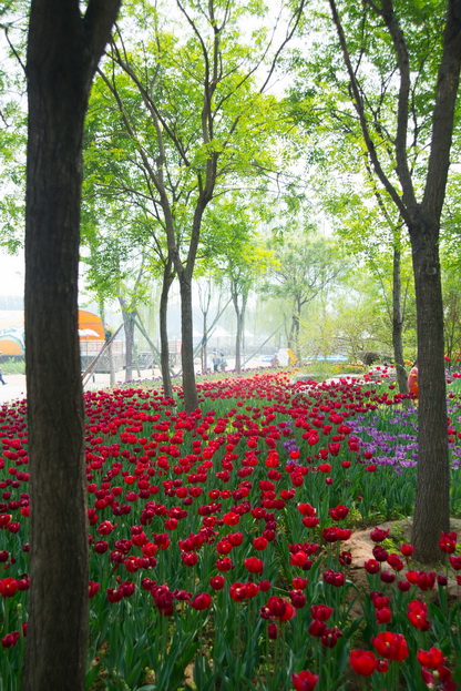 DSC_7779_调整大小.jpg