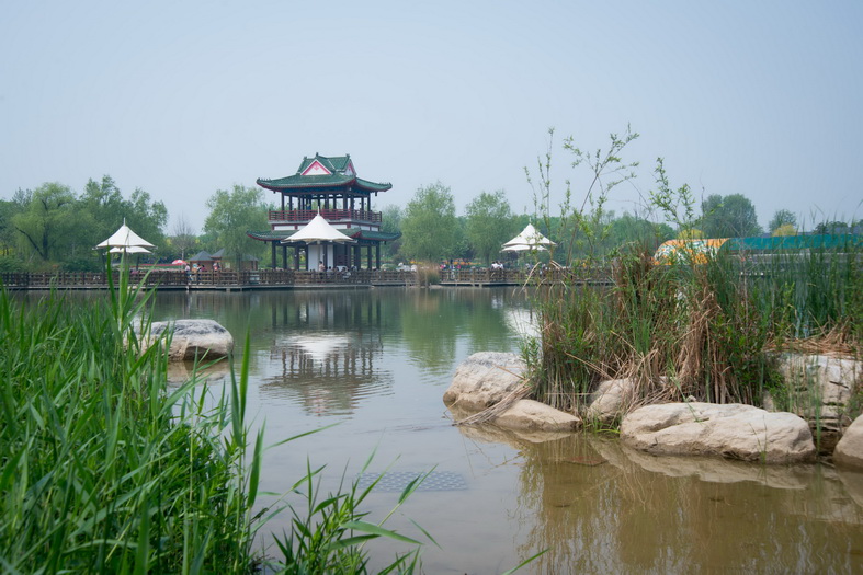 DSC_7798_调整大小.jpg
