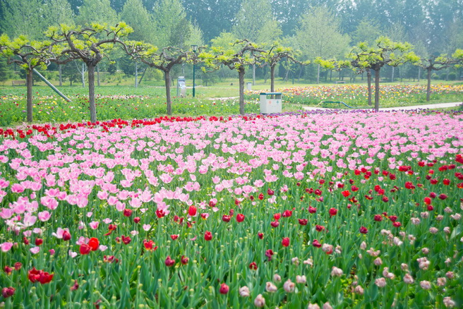 DSC_7744_调整大小.jpg