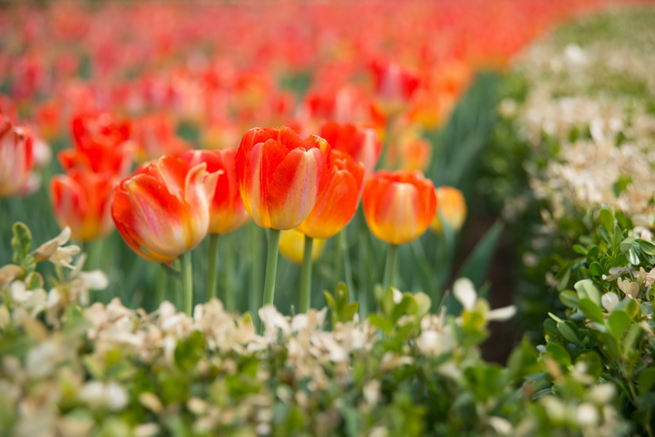 DSC_7804_调整大小.jpg