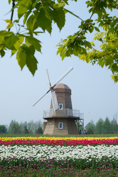 DSC_7767_调整大小.jpg
