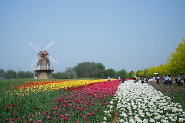 DSC_7766_调整大小.jpg