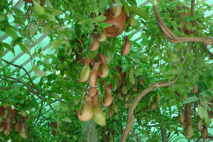 P1060748_调整大小.JPG
