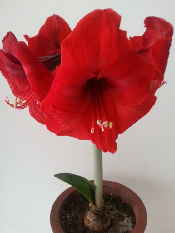 20160427_143040_副本.jpg