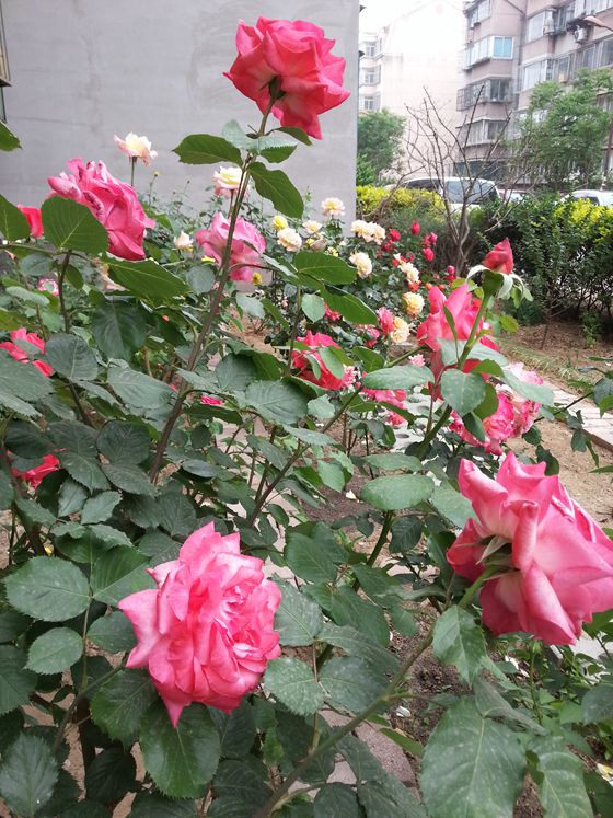 20160511_163330_副本.jpg