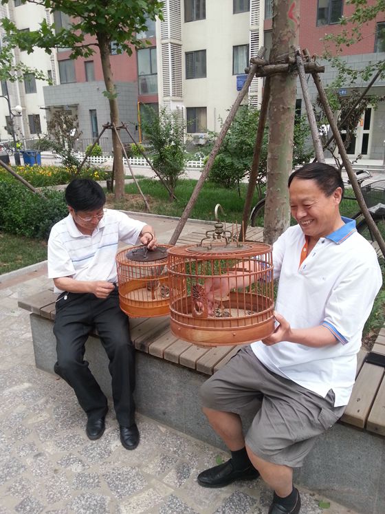 20150613_173500_副本.jpg