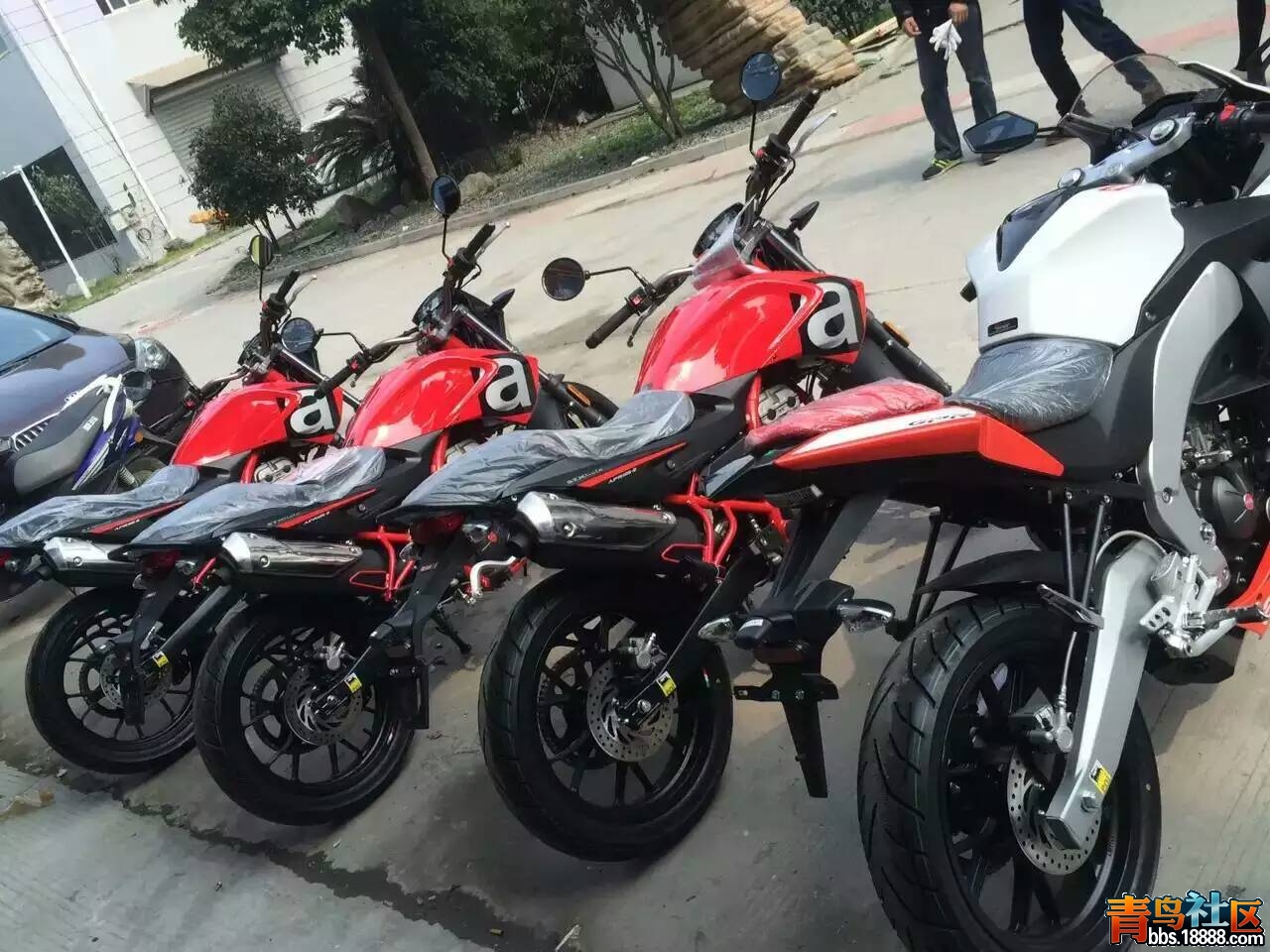 mmexport1463287085596.jpg