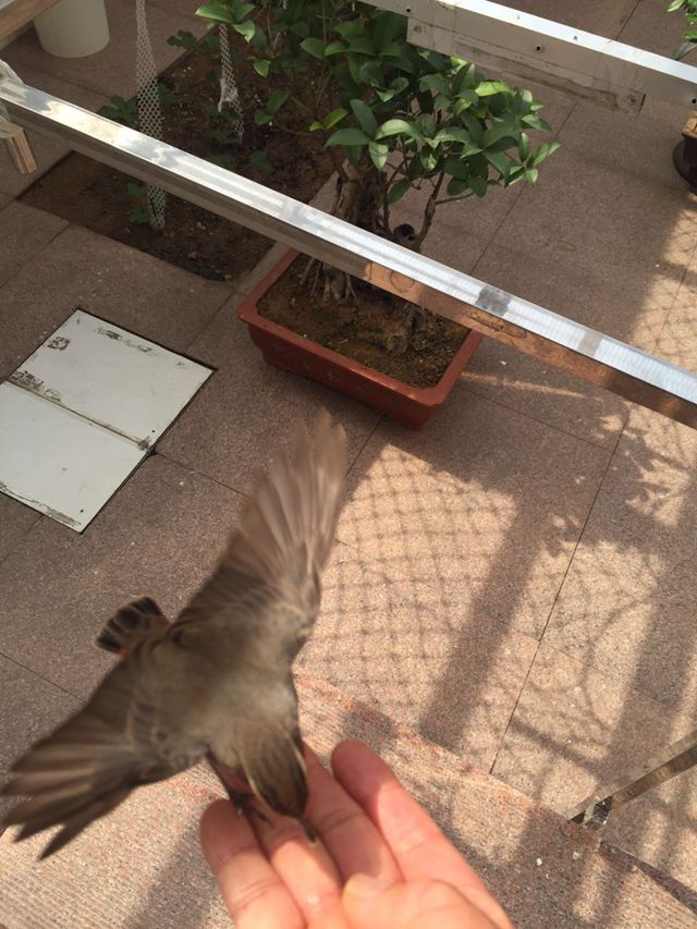 2345截图IMG_3752.JPG