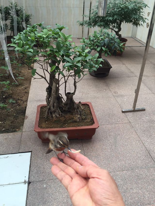 2345截图IMG_3740.JPG