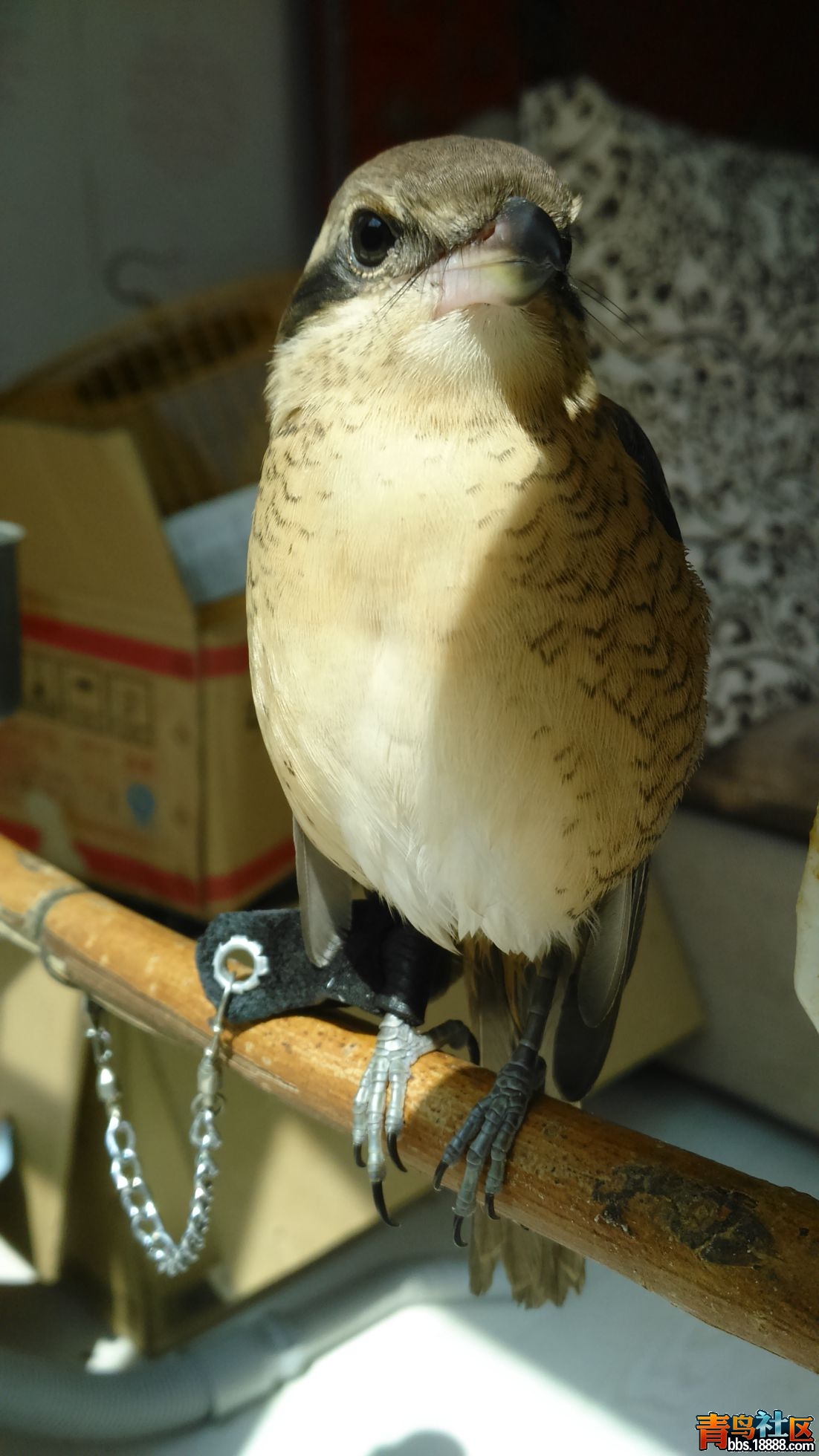 DSC_0607.jpg