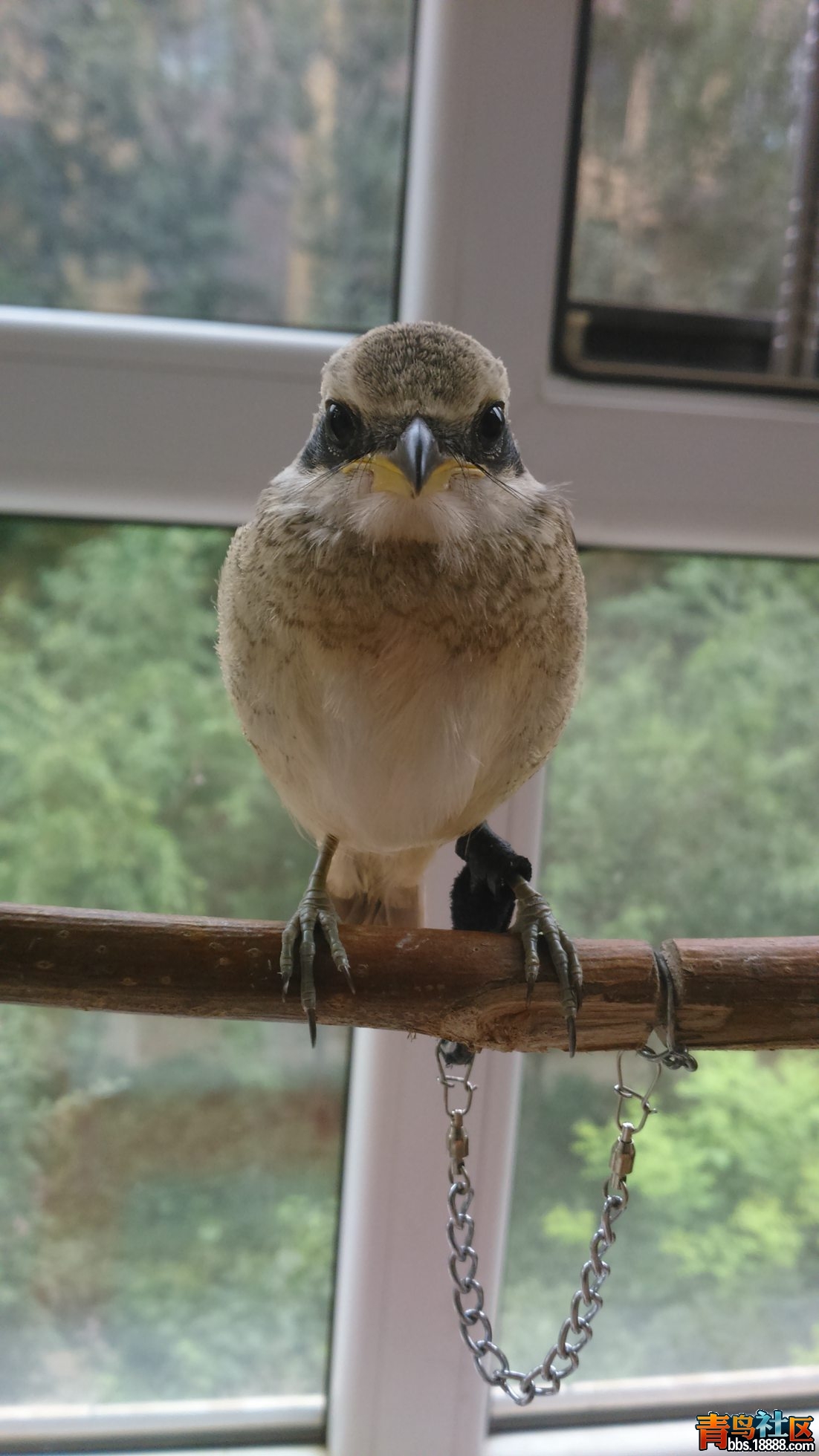 DSC_0523.jpg