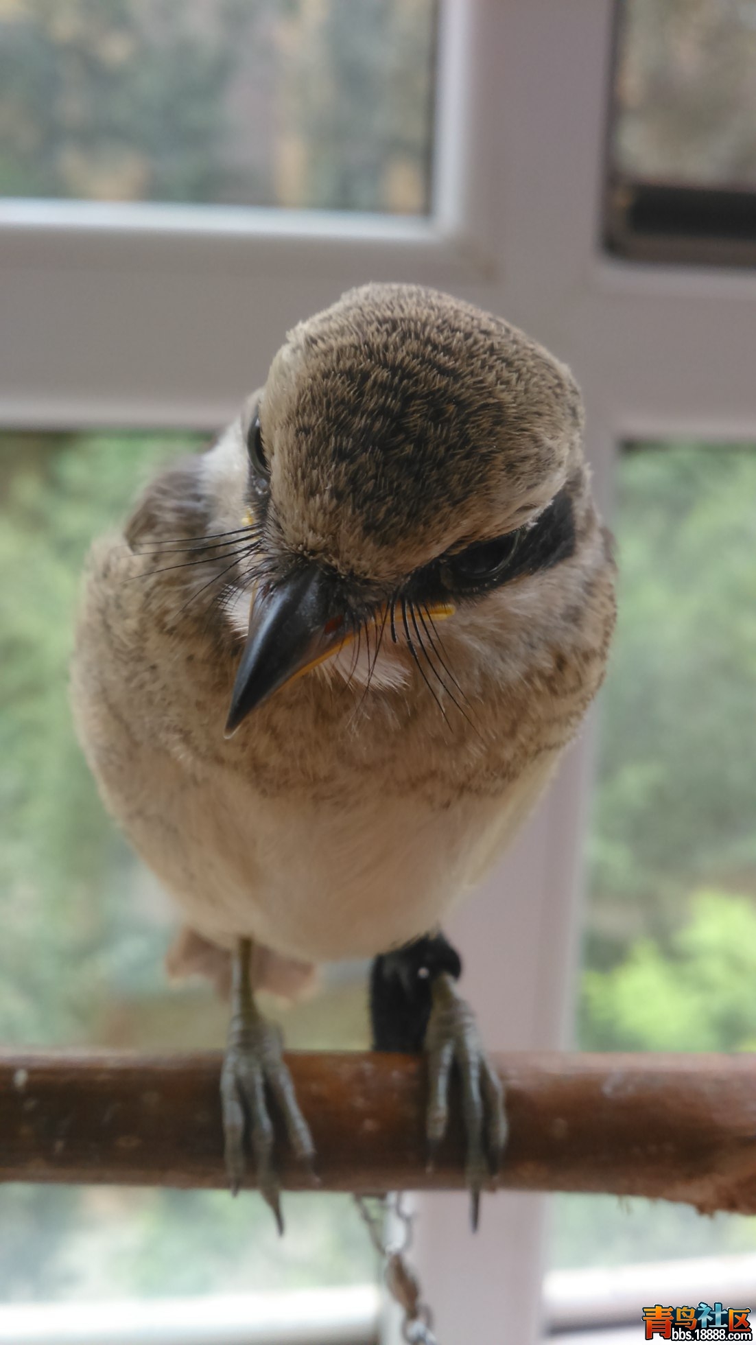 DSC_0535.jpg
