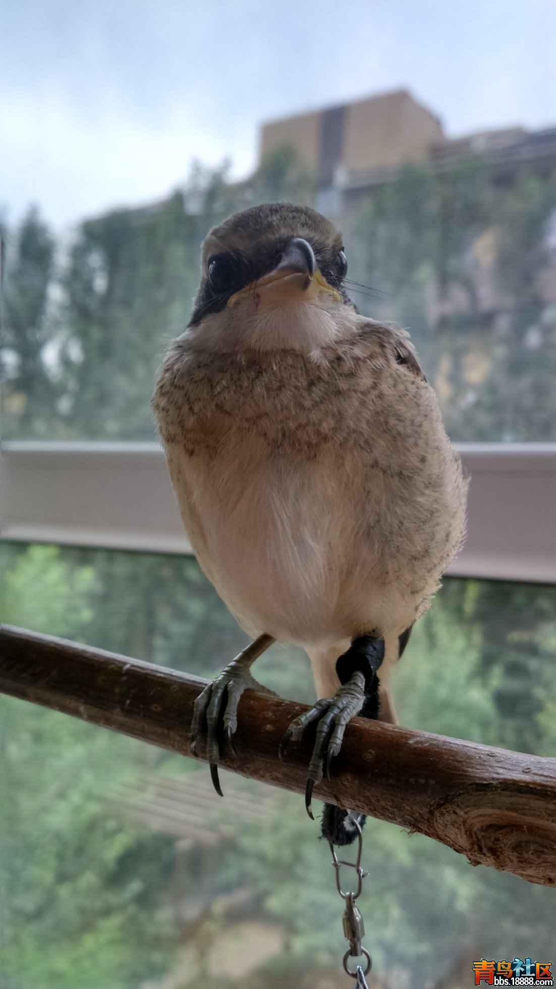 DSC_0537.jpg