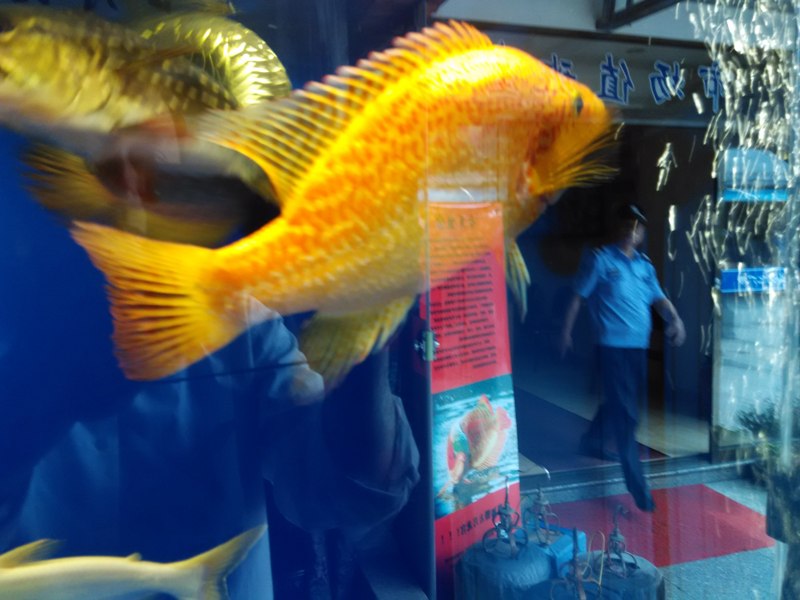 IMG_20160610_091754.jpg