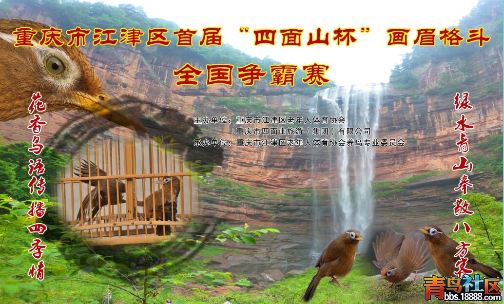 QQ图片20160602181314.jpg