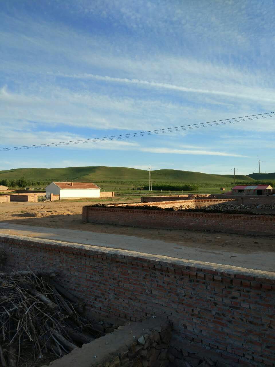 mmexport1466382883458.jpg