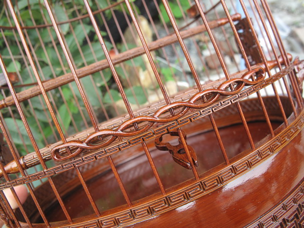 IMG_4521_调整大小.JPG