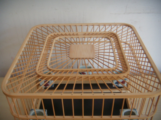 DSCN6323.JPG