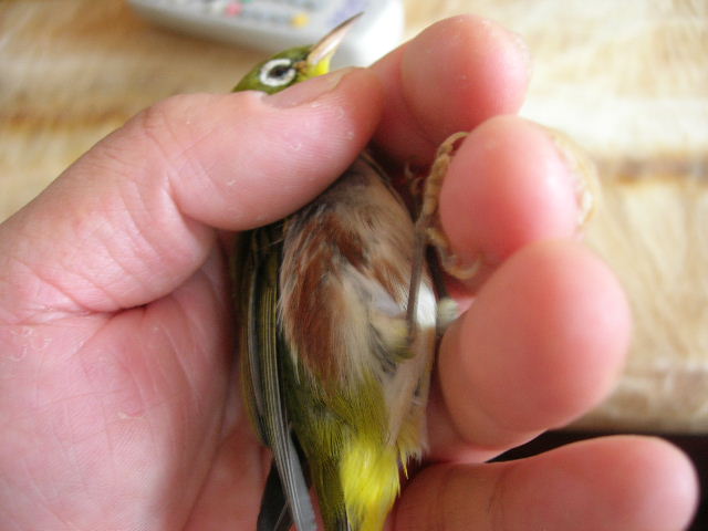 DSCN6304.JPG