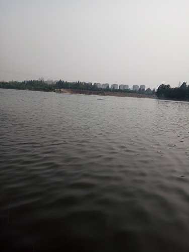 IMG20160609172550.jpg