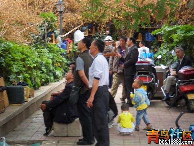 市28.JPG